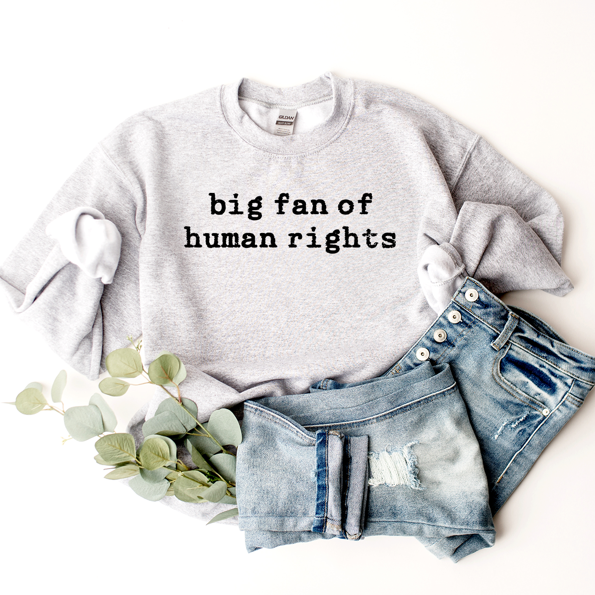 Big Fan Of Human Rights - Sweatshirt